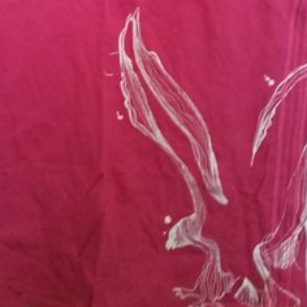 AMERICAN EAGLE OUTFITTERS Tee NWT - Picture 2 of 2